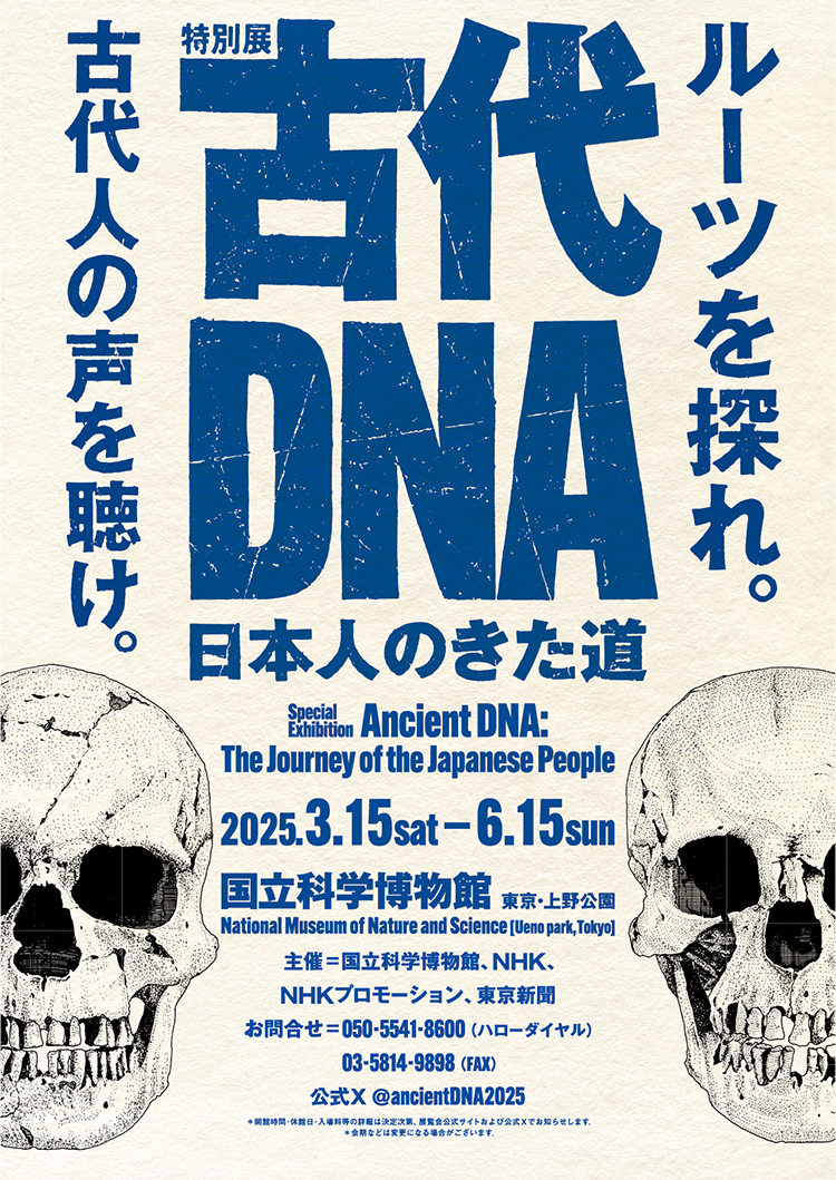 特別展「古代DNA―日本人のきた道―」